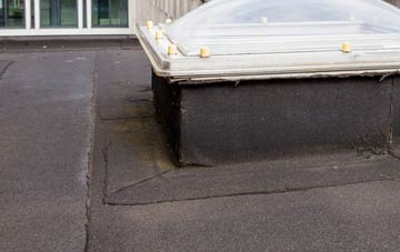 disadvantages of Hanlith flat roofs