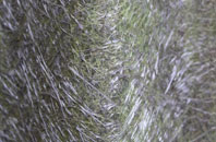 Hanlith fibreglass roof work